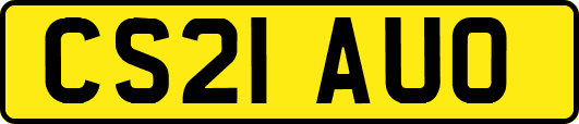 CS21AUO