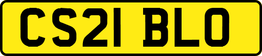 CS21BLO