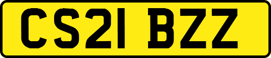 CS21BZZ