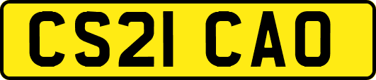 CS21CAO