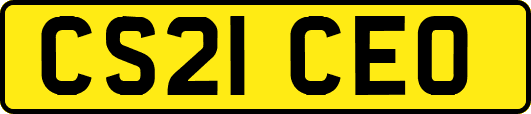 CS21CEO