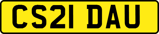 CS21DAU