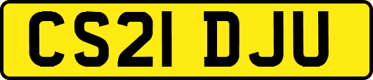 CS21DJU
