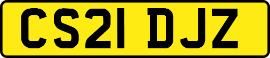 CS21DJZ