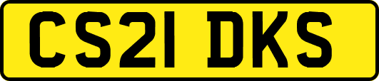 CS21DKS