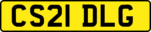 CS21DLG
