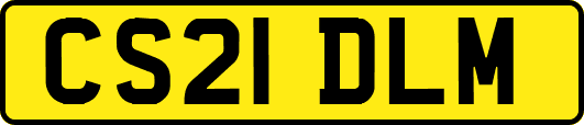 CS21DLM