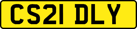 CS21DLY