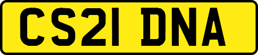 CS21DNA