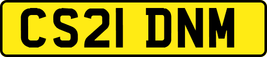 CS21DNM