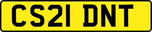 CS21DNT