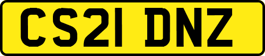 CS21DNZ