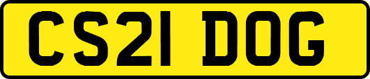 CS21DOG