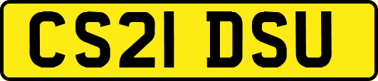 CS21DSU