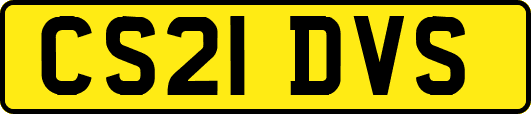 CS21DVS