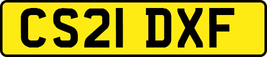 CS21DXF