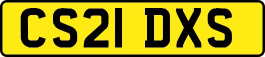 CS21DXS