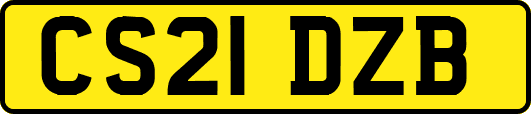 CS21DZB