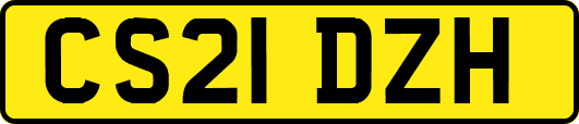 CS21DZH