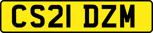 CS21DZM
