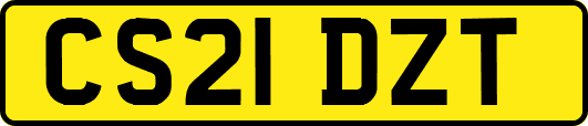 CS21DZT
