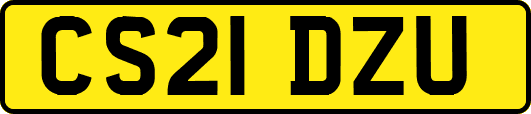 CS21DZU