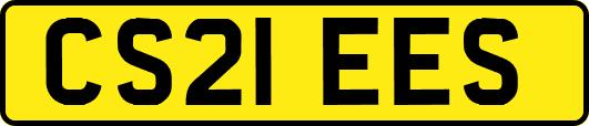 CS21EES