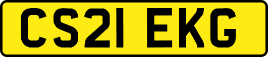 CS21EKG