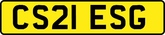 CS21ESG