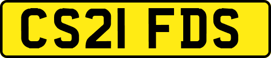 CS21FDS
