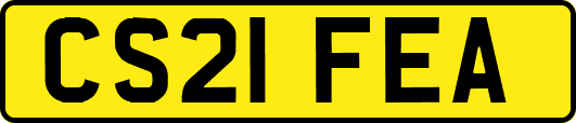 CS21FEA