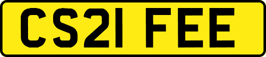 CS21FEE
