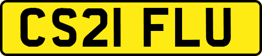 CS21FLU