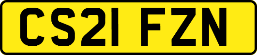 CS21FZN