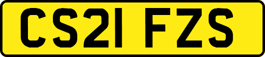 CS21FZS