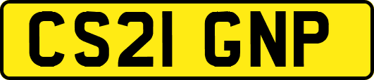 CS21GNP