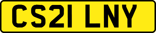 CS21LNY