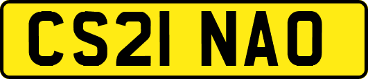 CS21NAO