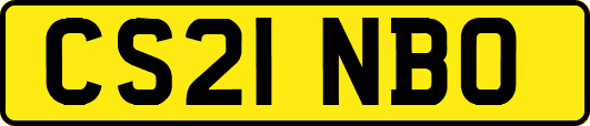 CS21NBO