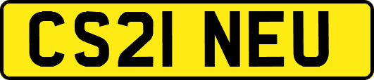 CS21NEU