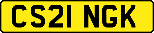 CS21NGK