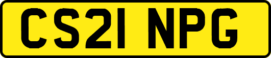 CS21NPG
