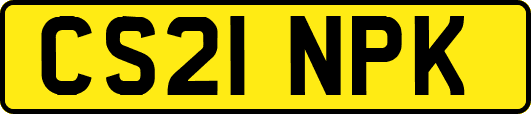 CS21NPK