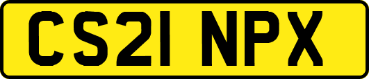 CS21NPX