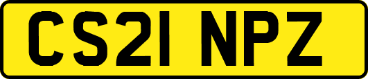 CS21NPZ