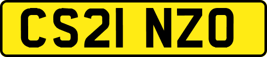 CS21NZO