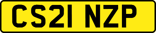 CS21NZP