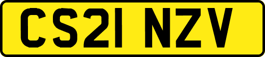 CS21NZV