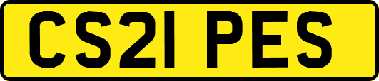 CS21PES