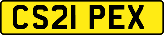 CS21PEX